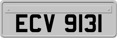 ECV9131
