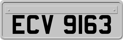 ECV9163