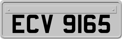 ECV9165