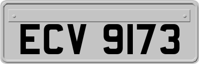 ECV9173