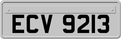 ECV9213