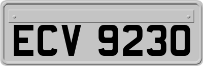 ECV9230