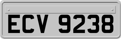 ECV9238
