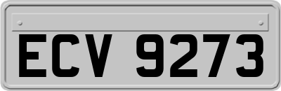 ECV9273