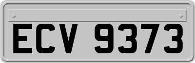 ECV9373