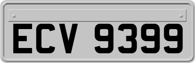 ECV9399