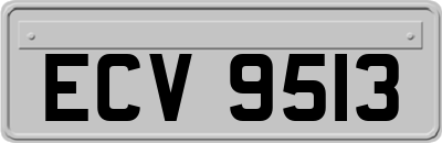 ECV9513