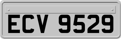 ECV9529