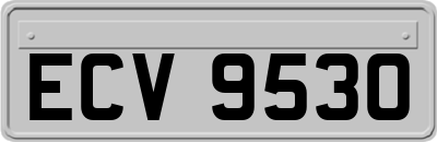 ECV9530