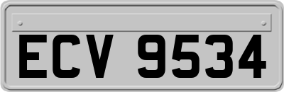 ECV9534