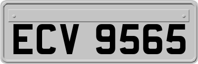 ECV9565