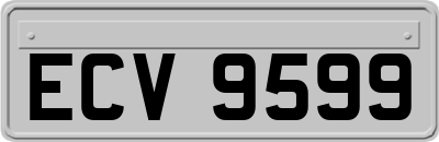 ECV9599