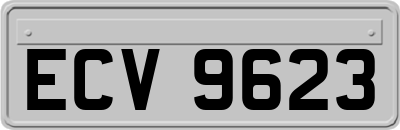 ECV9623