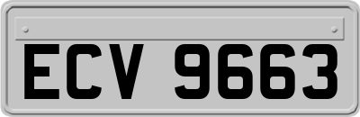 ECV9663