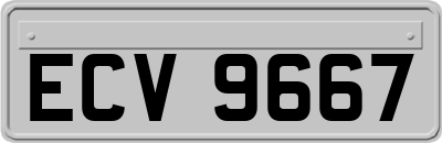 ECV9667