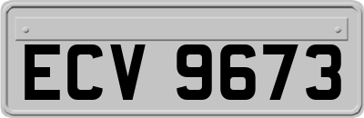 ECV9673