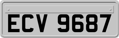 ECV9687