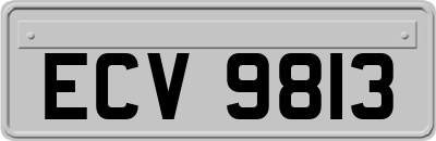 ECV9813