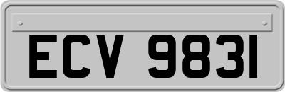 ECV9831