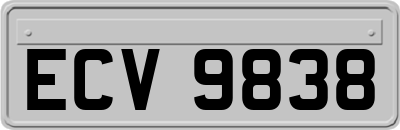 ECV9838
