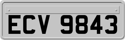 ECV9843