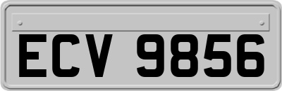 ECV9856
