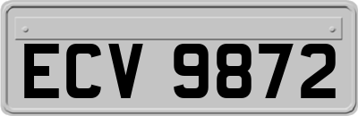 ECV9872