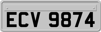 ECV9874