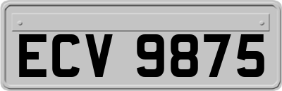 ECV9875