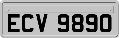 ECV9890