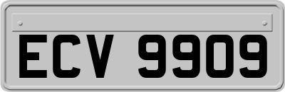 ECV9909