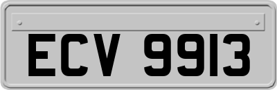 ECV9913