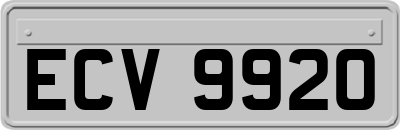 ECV9920
