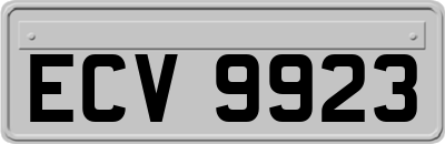 ECV9923