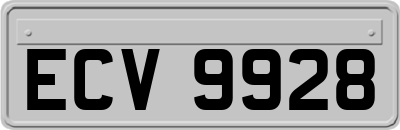 ECV9928