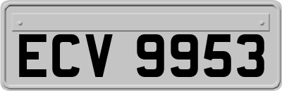 ECV9953