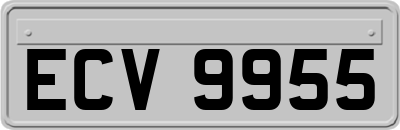 ECV9955