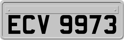 ECV9973