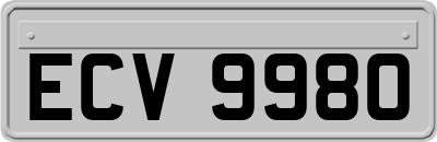 ECV9980