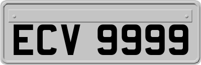 ECV9999