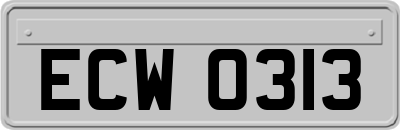 ECW0313