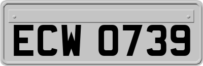 ECW0739