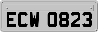 ECW0823