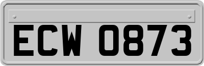 ECW0873