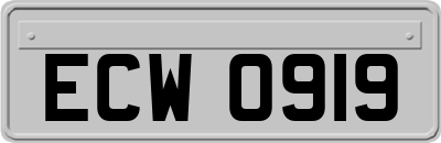 ECW0919