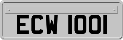 ECW1001