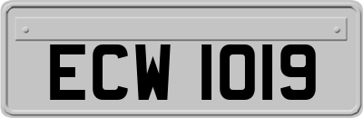 ECW1019