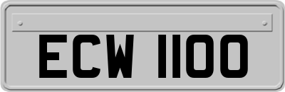 ECW1100