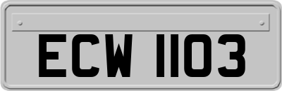 ECW1103