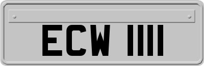 ECW1111